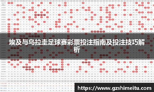 埃及与乌拉圭足球赛彩票投注指南及投注技巧解析